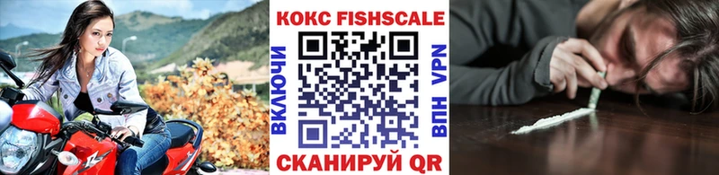 COCAIN Fish Scale Высоковск