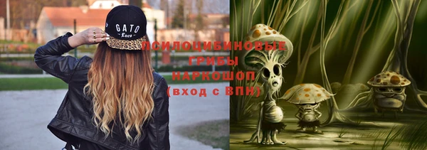 стафф Бронницы