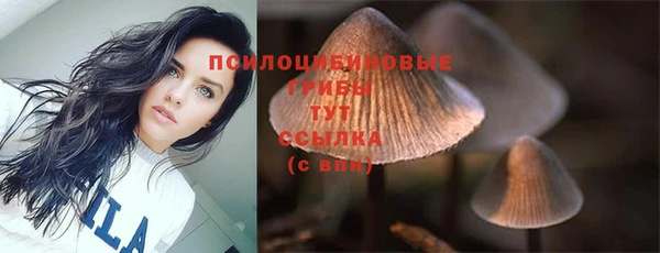 гидропоника Богородицк