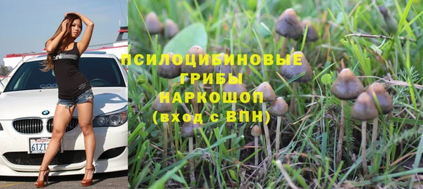 мет Богданович