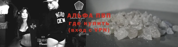 PSILOCYBIN Бугульма