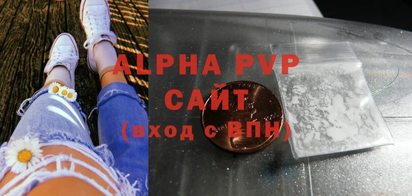 индика Беломорск