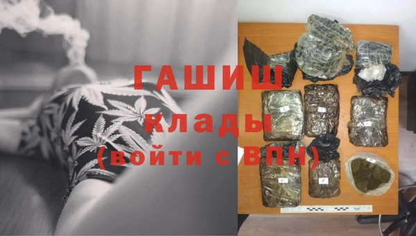 индика Беломорск